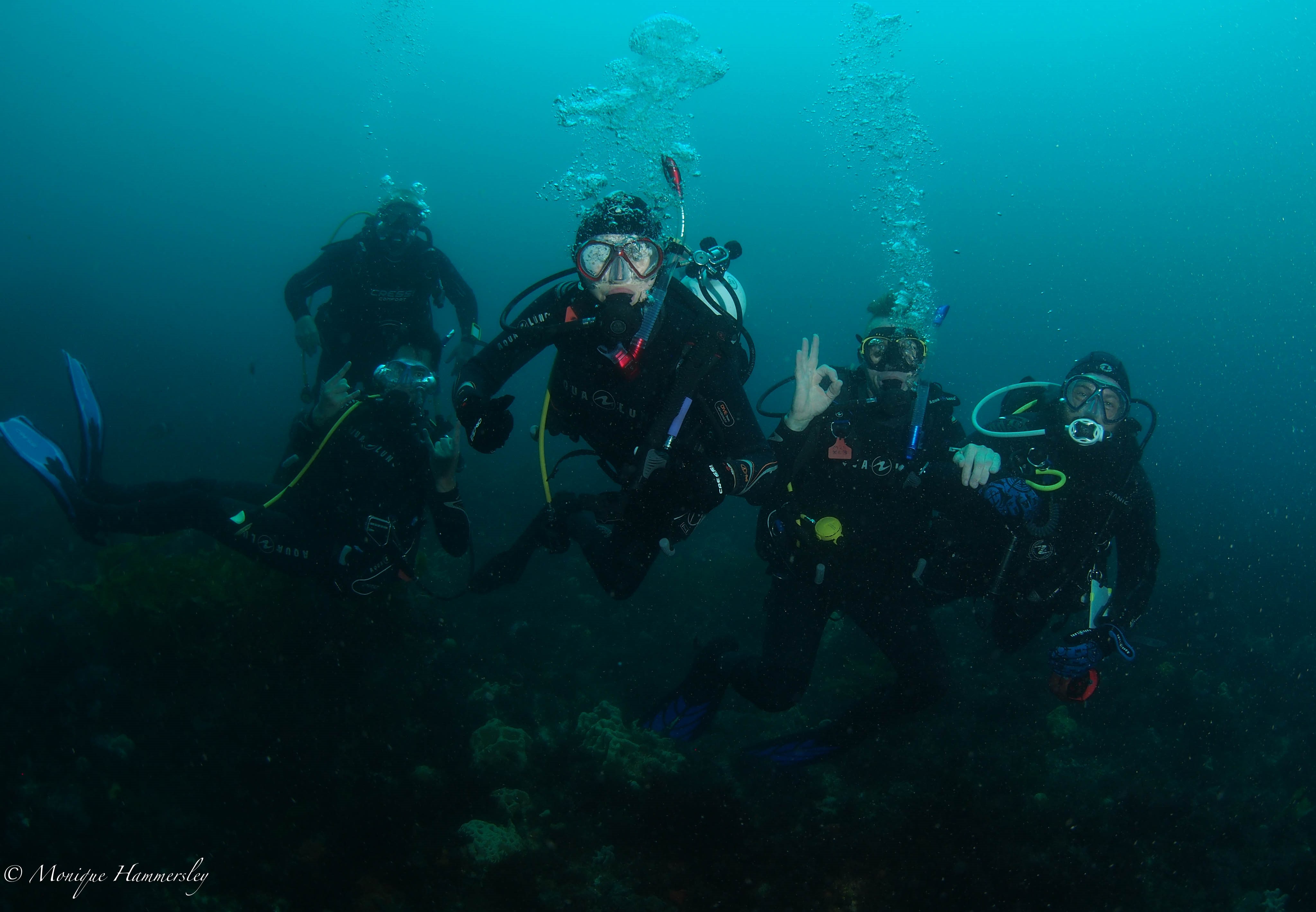 Learn to dive deep into the ocean with this PADI course